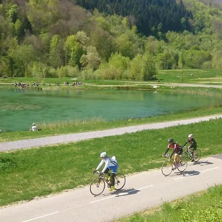 Apartamento New - 50 M2 Cocoon Between Lakes And Mountains Gilly-sur-Isere